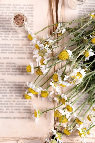 Vieux livre avec des fleurs sèches gros plan — Photo