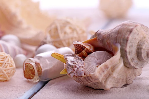 Hermosa composición marina con conchas de cerca —  Fotos de Stock