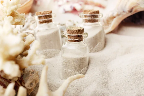 Hermosas conchas marinas sobre fondo de arena — Foto de Stock