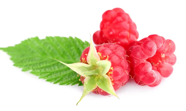 Ripe red raspberries with leaf isolated on white — Stock Photo, Image