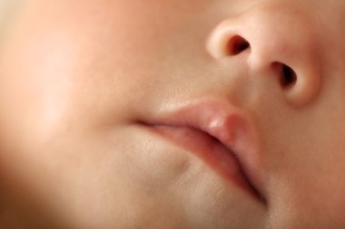 Bebek dudak ve burun, portre