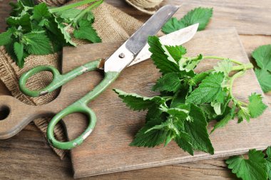 Melisa makas ile kesme yaprakların üzerinde ahşap kesme tahtası, portre