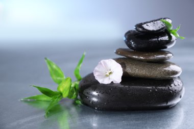 Spa taş yeşil yaprakları ile