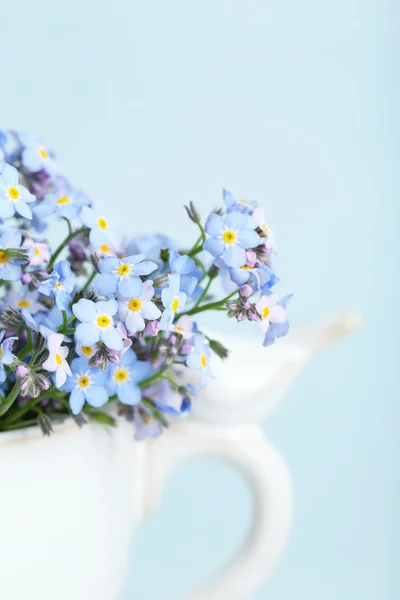 Forget-me-nots flowers in cup — Stock Photo, Image