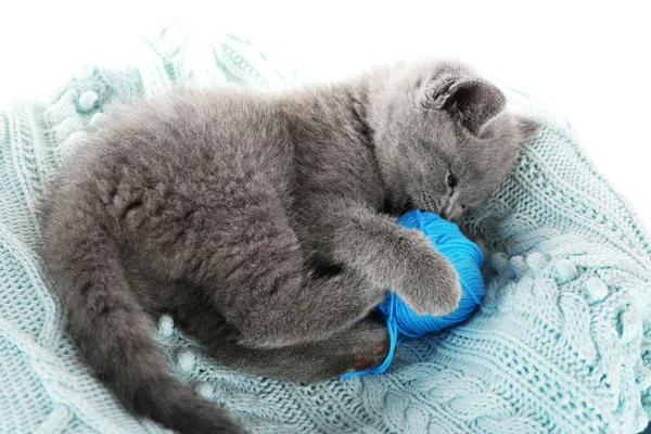 Cute gray kitten with skein of thread on warm plaid, closeup — Stock Photo, Image