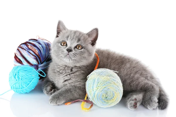 Cute gray kitten with skein of colorful thread isolated on white — Stock Photo, Image