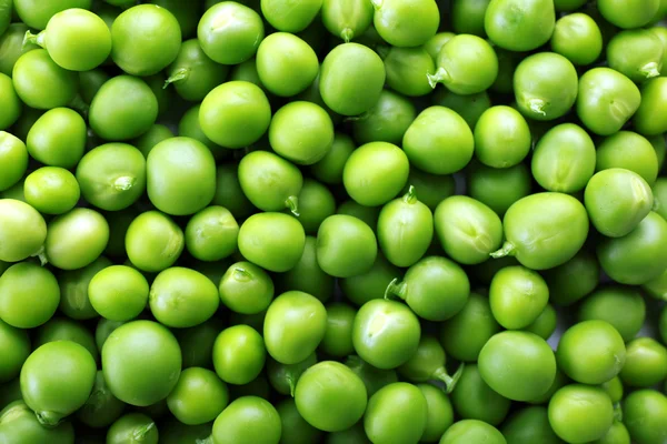 Tas de pois verts frais de près — Photo