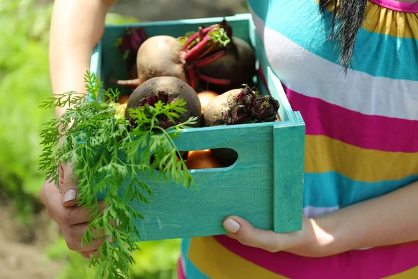 Mani femminili che tengono la cassa di legno con verdure fresche nuove in giardino — Foto Stock