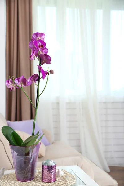 Beautiful lilac orchid in pot on table in room — Stock Photo, Image