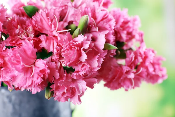 Vacker bukett rosa nejlika — Stockfoto