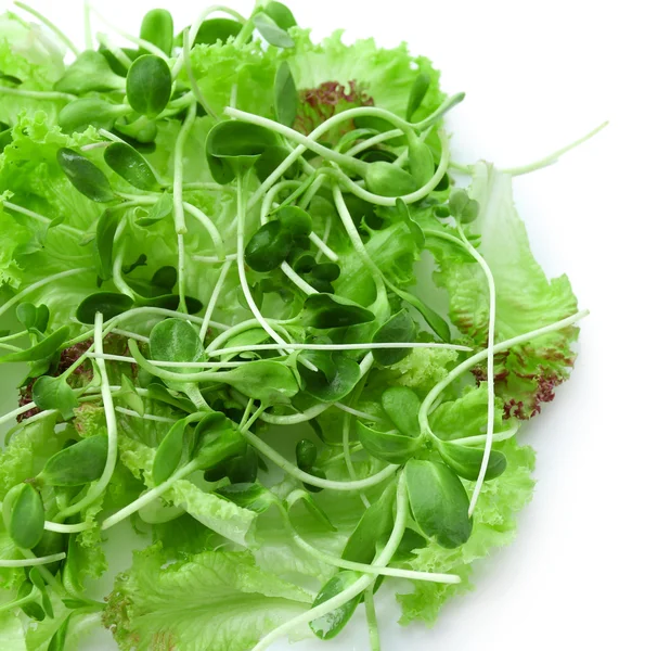 Fresh mixed green salad — Stock Photo, Image