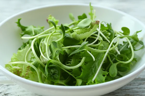 Salada verde mista fresca — Fotografia de Stock