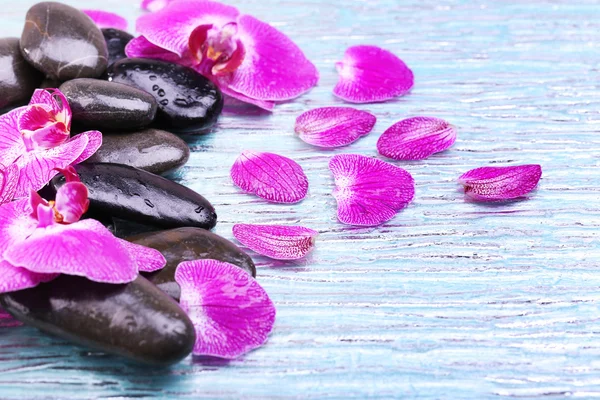 Фиолетовая орхидея и камень дзен крупным планом — стоковое фото