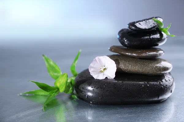 Piedras de spa con hojas verdes — Foto de Stock