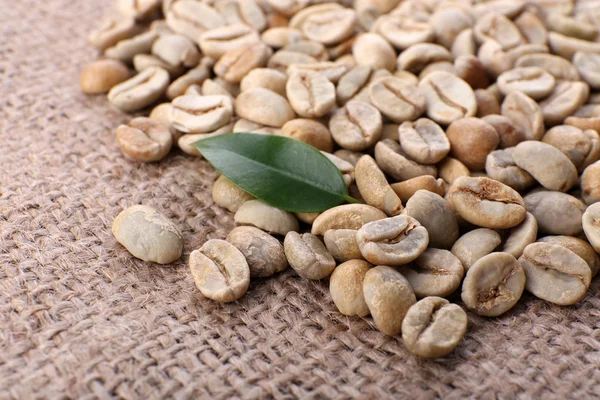 Куча зеленых кофейных зерен с листьями на мешковине. — стоковое фото