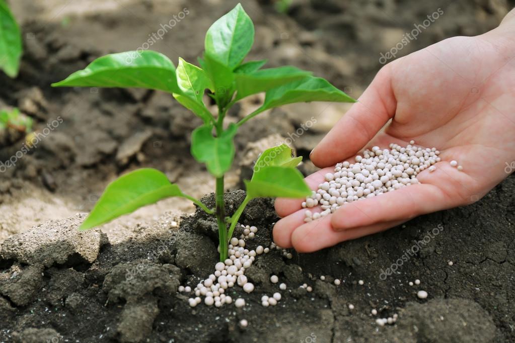 fertilizantes #hashtag