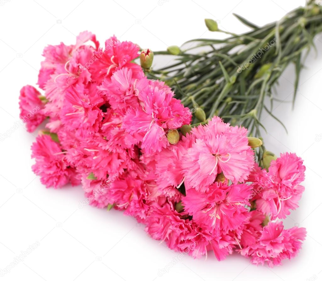 Beautiful bouquet of pink carnation
