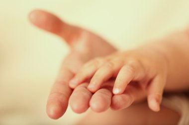 Yetişkin ve bebek eller