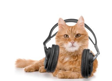 Kırmızı kedi üzerinde beyaz izole kulaklık ile