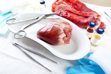 Kalp organ içinde tıbbi metal tepsi