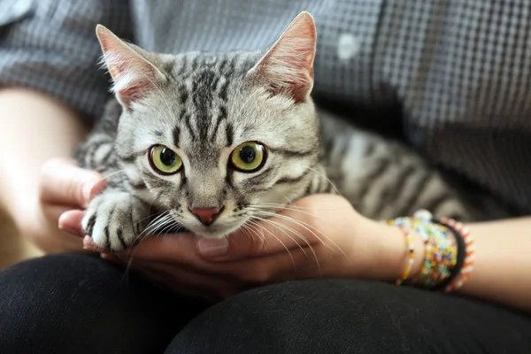 Kvinna anläggning söt katt — Stockfoto