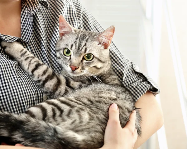 Woman holding cute cat — Stock Photo, Image