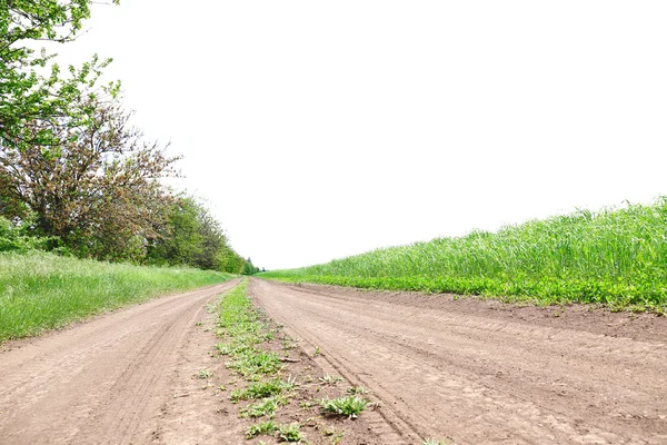 Country road over blue sky background — Stock Photo, Image