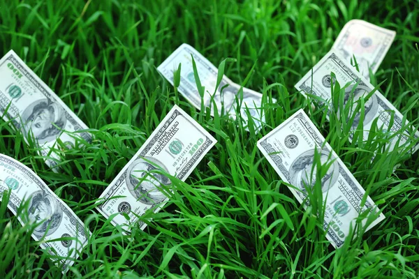 Banknotes money over green grass background — Stock Photo, Image
