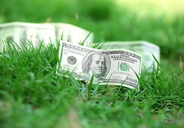 Bankbiljetten geld over groen gras achtergrond — Stockfoto
