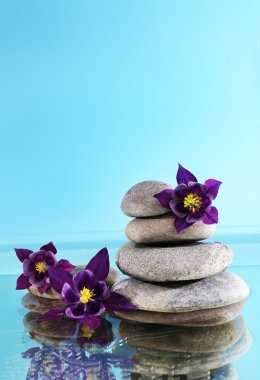 Çiçekler olan spa taş yığını