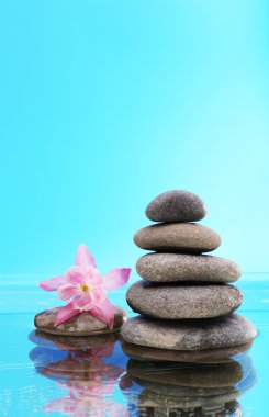 Çiçek olan spa taş yığını