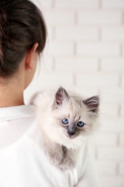 genç bir kadın tutarak kedi