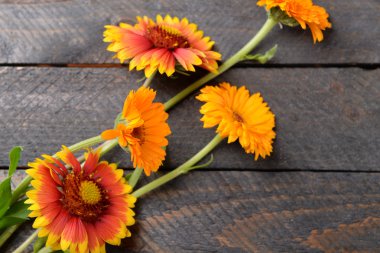 Ahşap arka plan üzerinde parlak kır çiçekleri