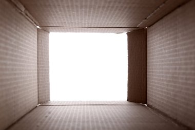 Karton kutu içinde görünüm