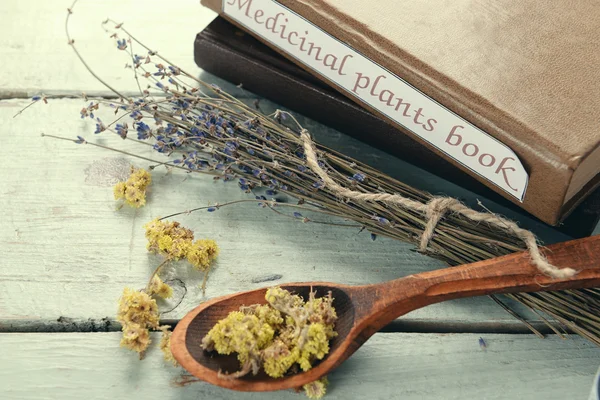 Libro de plantas medicinales con hierbas secas —  Fotos de Stock