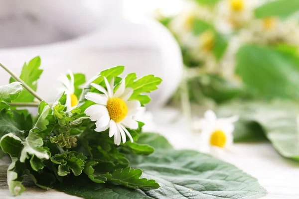 Herbs and flowers with mortar — Stock Photo, Image