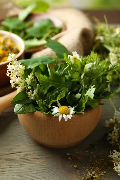 Herbs, berries and flowers with mortar — Stock Photo, Image