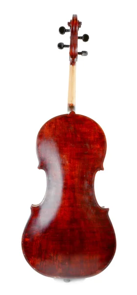 Cello geïsoleerde ob wit — Stockfoto