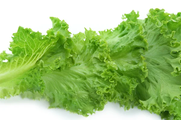 Frischer Salat, Nahaufnahme — Stockfoto