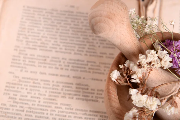 Livro velho com flores secas em argamassa perto — Fotografia de Stock