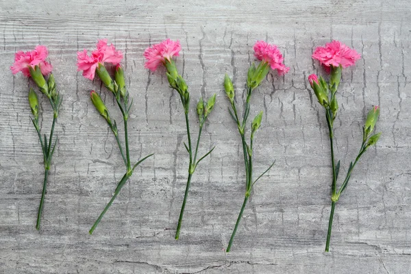 Schöne kleine wilde Blumen auf Holzgrund — Stockfoto