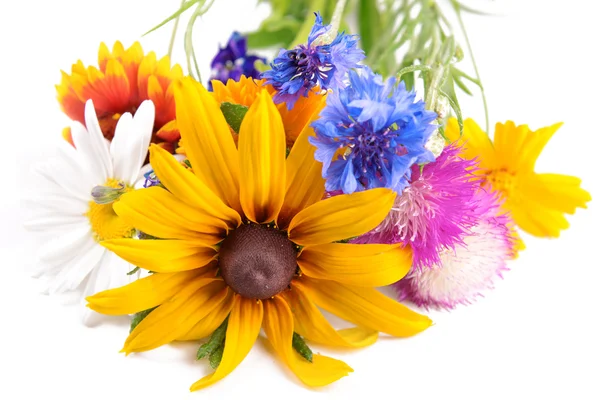 Beyaz arka plan üzerinde closeup parlak çiçekler — Stok fotoğraf