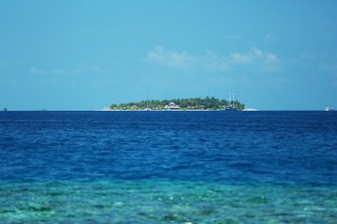 Okyanus suyu arkaplanı