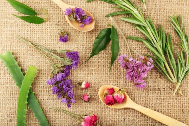 Yeşil otlar ve yaprakları