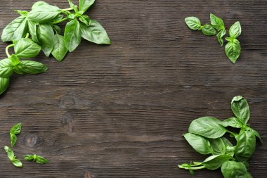 ahşap zemin üzerine yeşil taze fesleğen