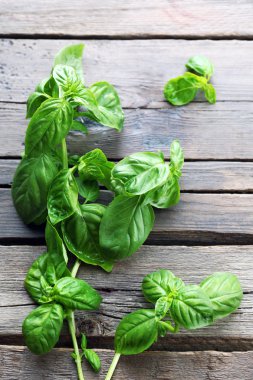 ahşap zemin üzerine yeşil taze fesleğen