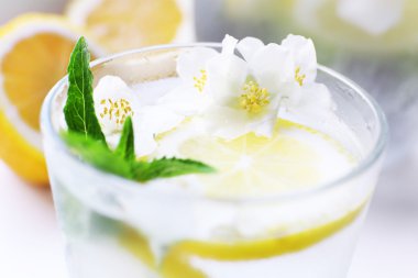 Soğuk ferahlatıcı yaz içeceği nane ile bardak ve masada limon dilimleri kapat