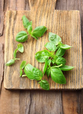 ahşap zemin üzerine yeşil taze fesleğen