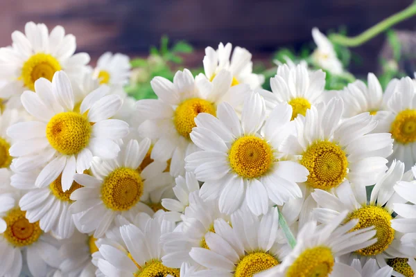 Schöner Strauß Gänseblümchen aus nächster Nähe — Stockfoto