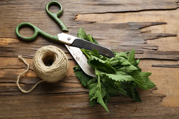 Leaves of lemon balm with rope and scissors on wooden background — Stock Photo, Image